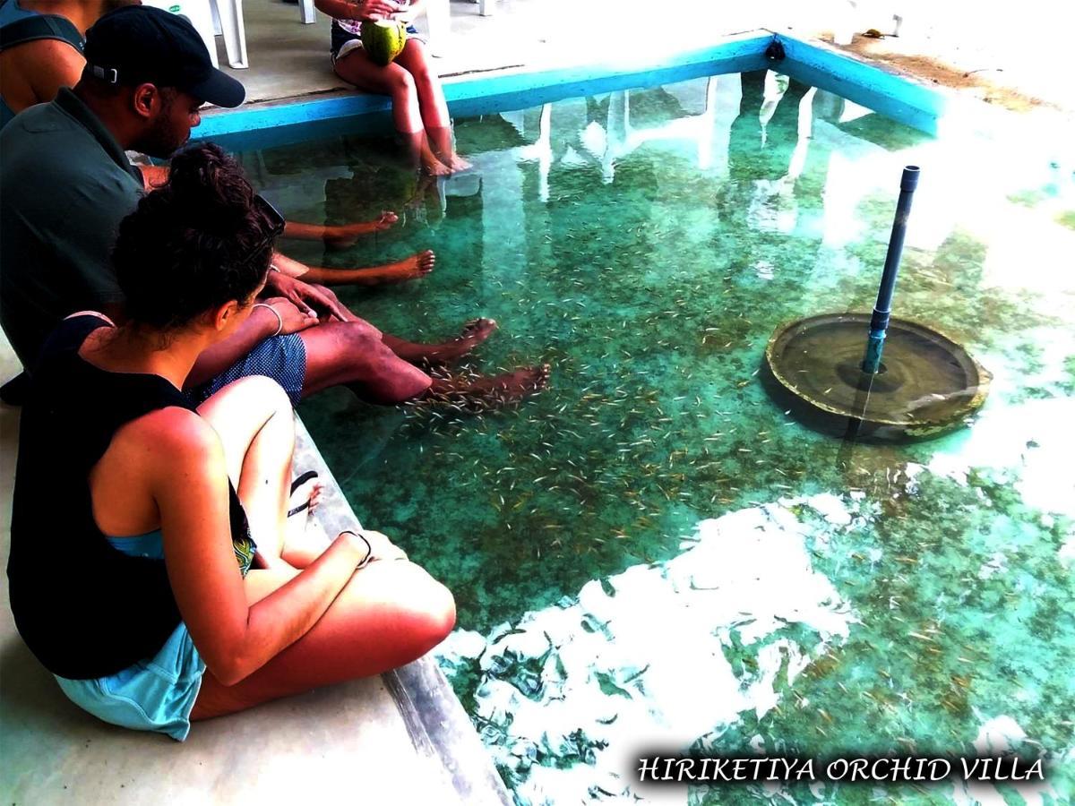 Hiriketiya Orchid Villa Dikwella Exterior foto